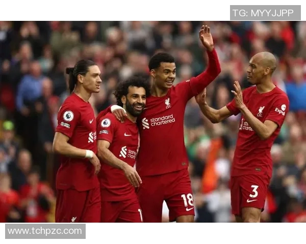 2018年布莱顿对阵利物浦比赛推荐及精彩分析