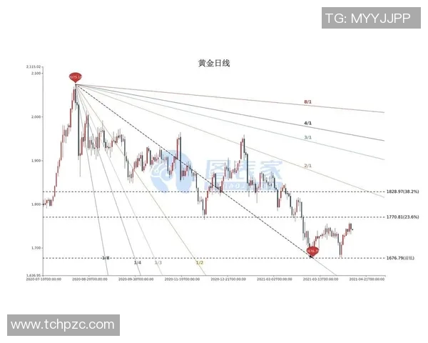 太阳与神秘人对决预测分析揭示未来走势与潜在影响